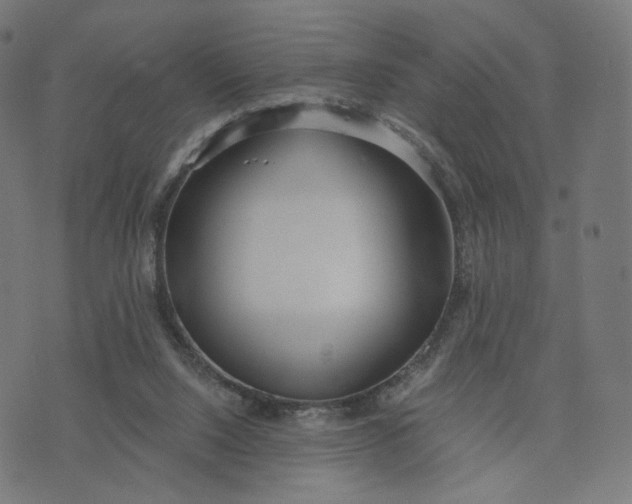 X0000070360064200606231633