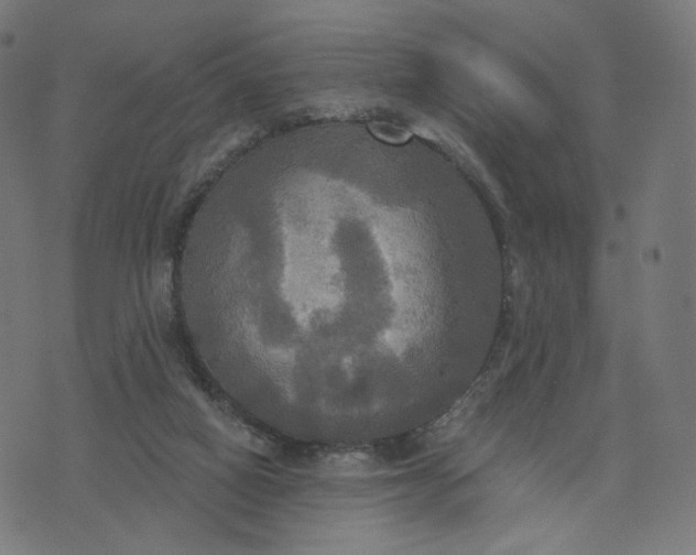 X0000070360066200606231633