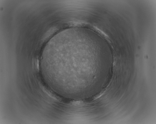 X0000070360067200606231633