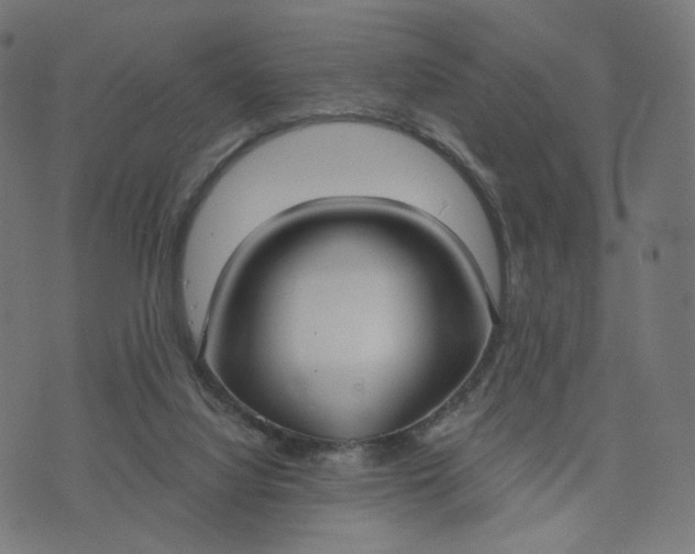 X0000070360068200606231633