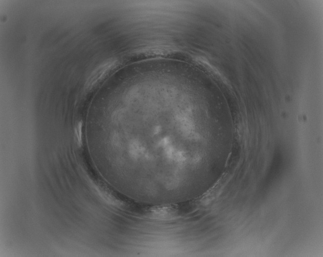 X0000070360070200606231633