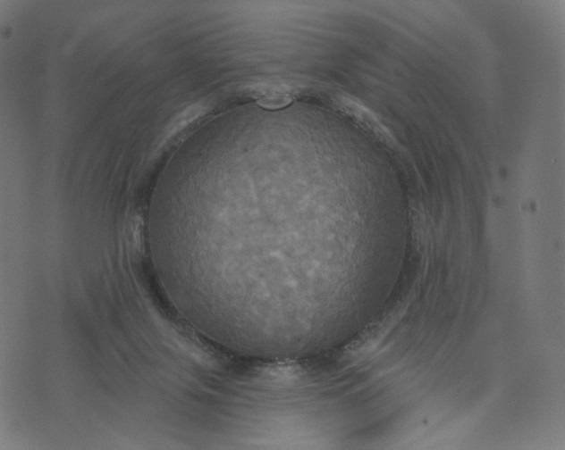 X0000070360071200606231633