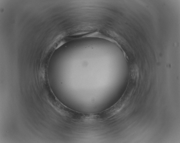 X0000070360072200606231633