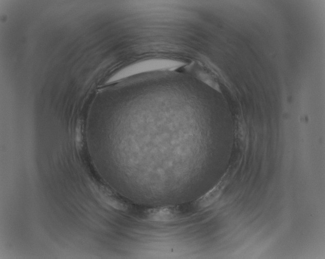 X0000070360074200606231633