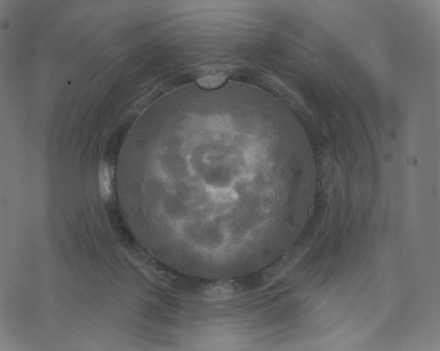 X0000070360075200606231633