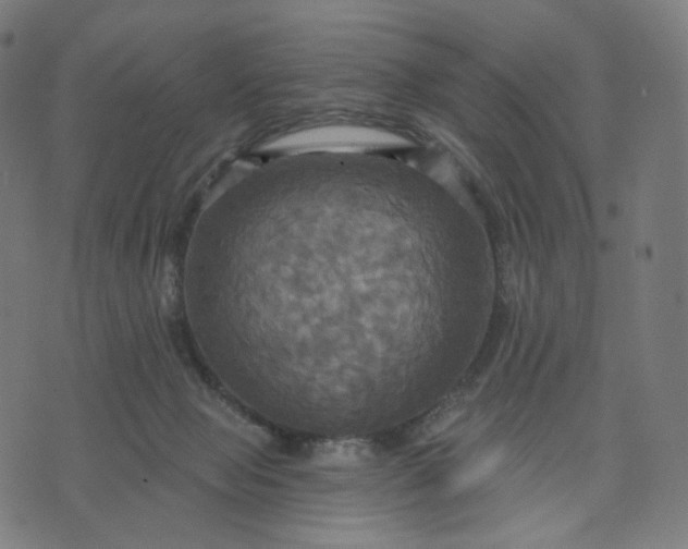 X0000070360077200606231633