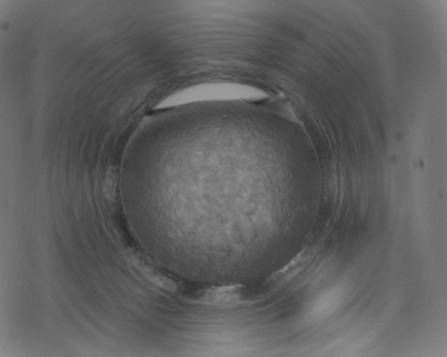 X0000070360078200606231633