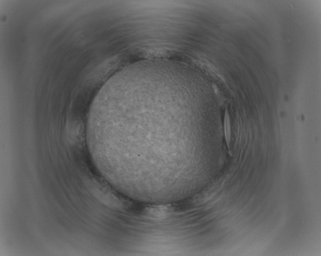 X0000070360079200606231633