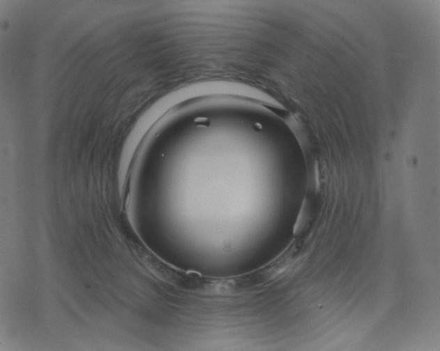 X0000070360080200606231633