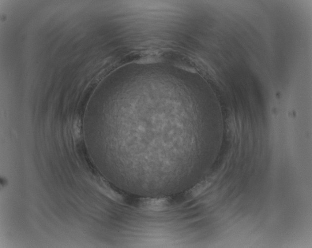 X0000070360081200606231633