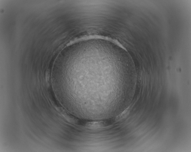 X0000070360082200606231633