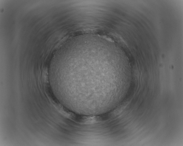 X0000070360083200606231633