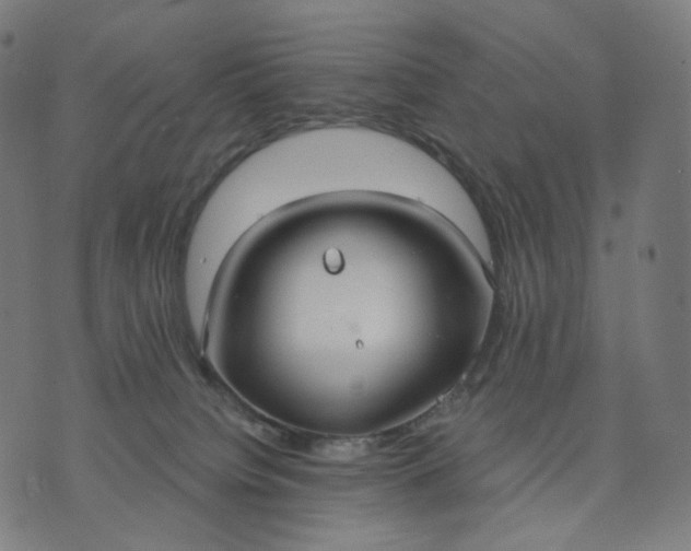 X0000070360084200606231633