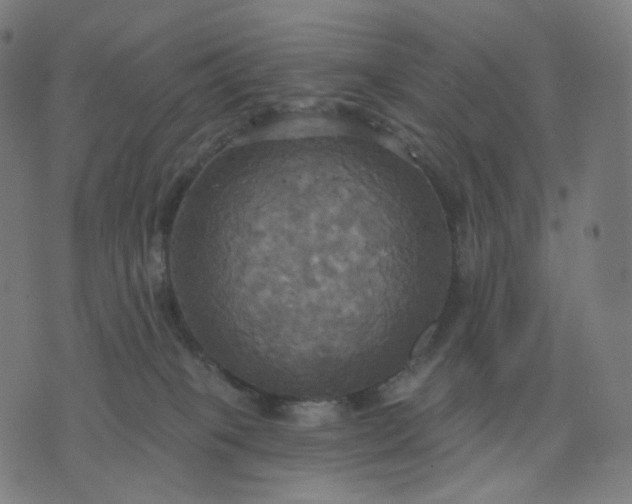 X0000070360085200606231633