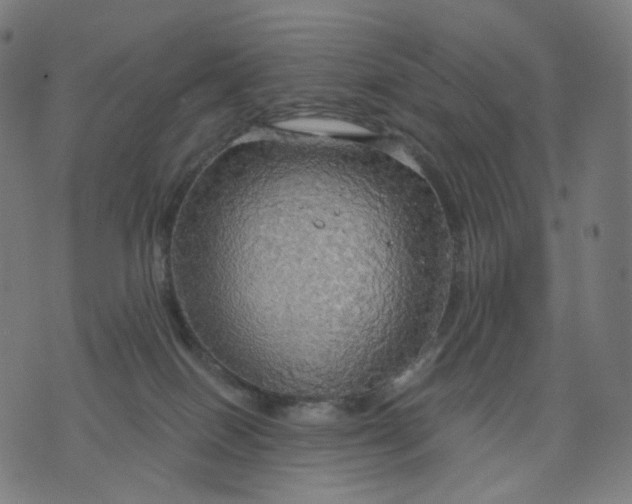 X0000070360086200606231633