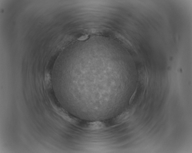 X0000070360087200606231633