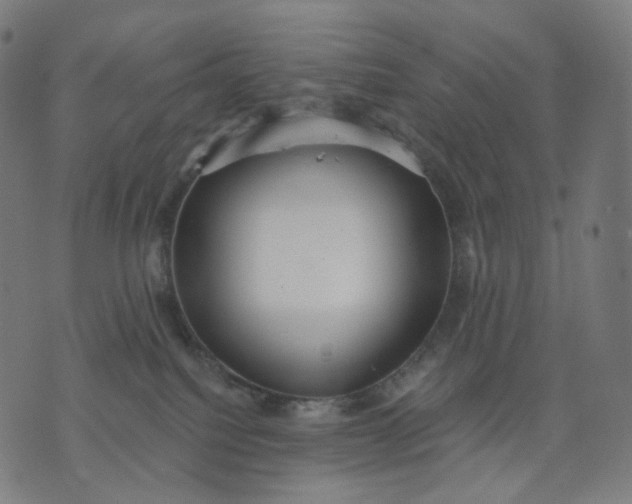 X0000070360088200606231633