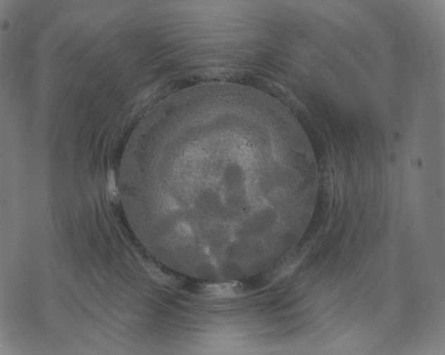 X0000070360089200606231633