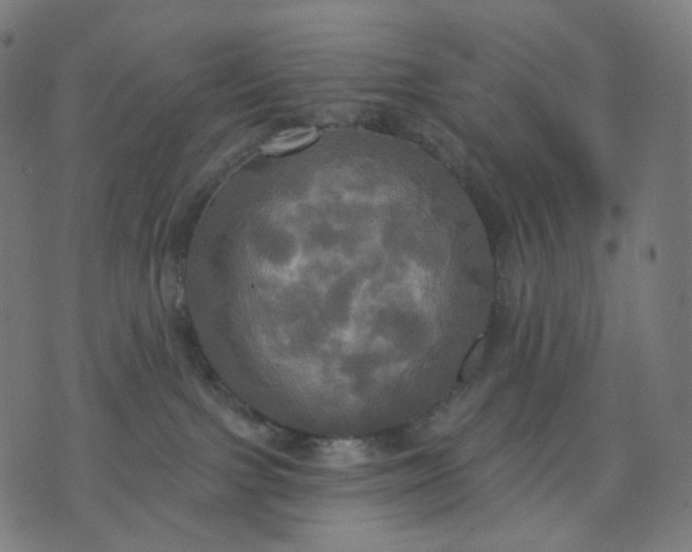 X0000070360091200606231633