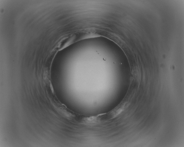 X0000070360092200606231633