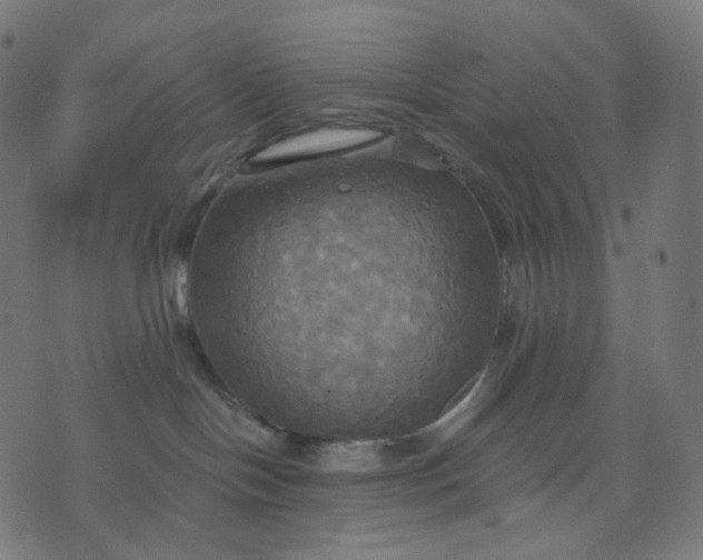 X0000070360094200606231633