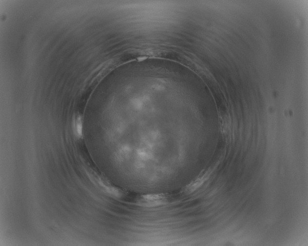 X0000070360095200606231633