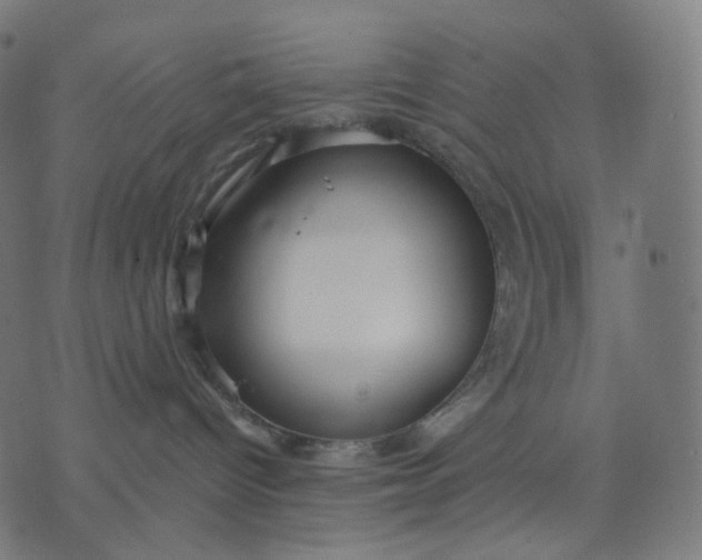 X0000070360096200606231633