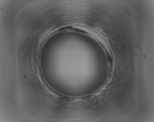 X0000070360097200606231632