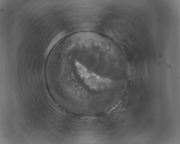 X0000070360099200606231632