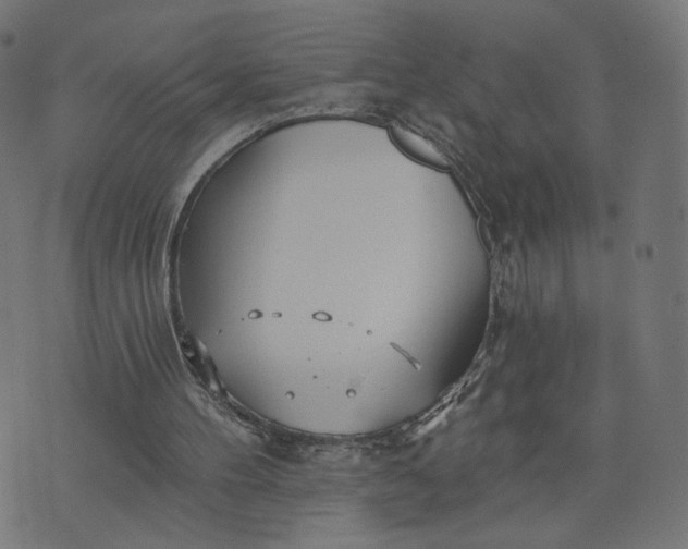 X0000070360100200606231632