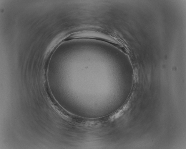 X0000070360101200606231632