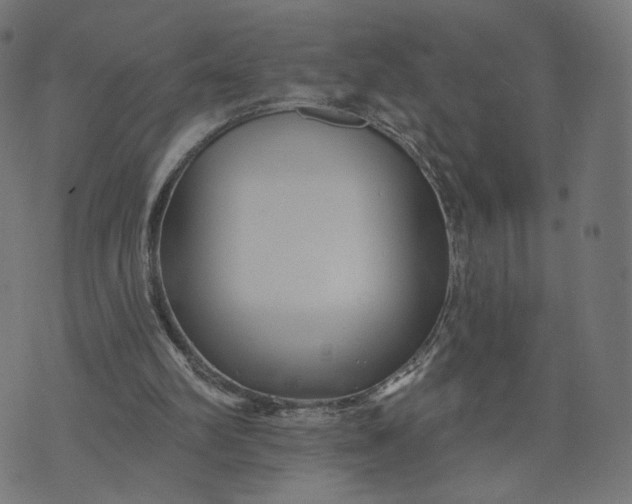 X0000070360102200606231632