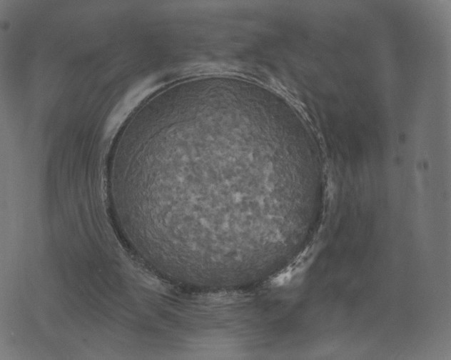 X0000070360103200606231632