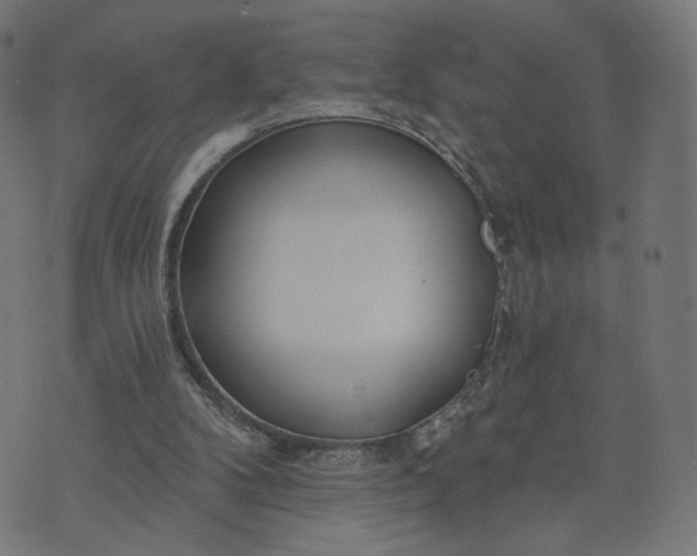 X0000070360104200606231632