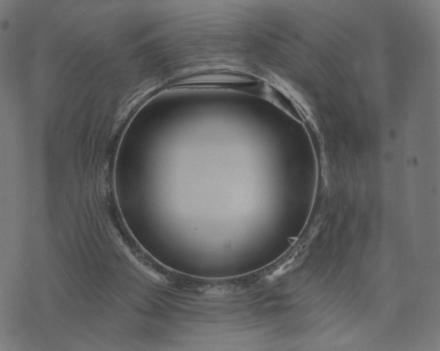 X0000070360105200606231632