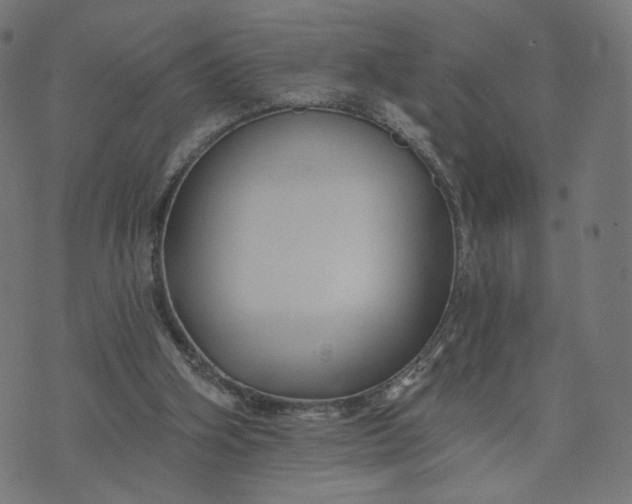 X0000070360106200606231632