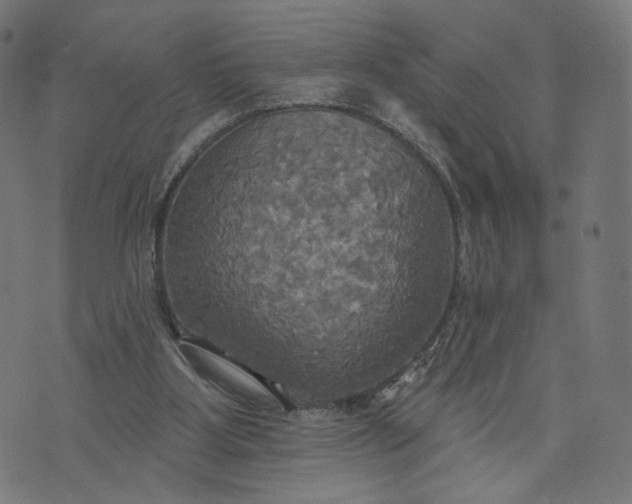 X0000070360107200606231632