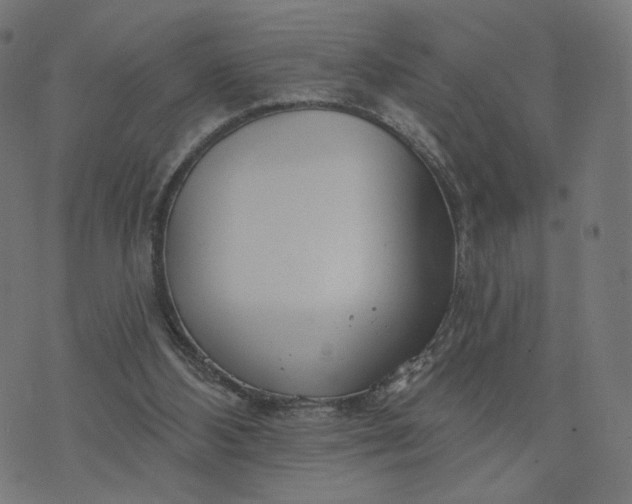 X0000070360108200606231632