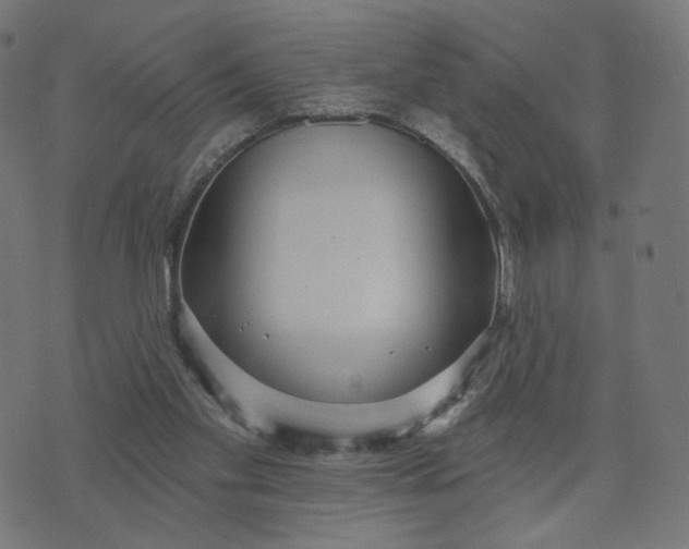 X0000070360109200606231632