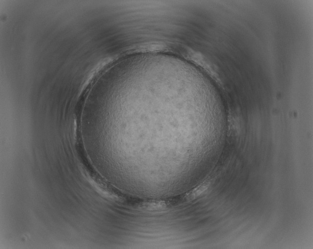 X0000070360110200606231632