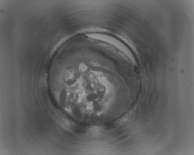 X0000070360111200606231632