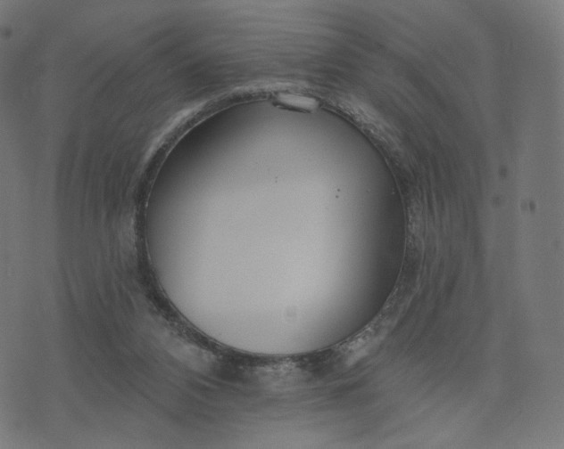 X0000070360112200606231632