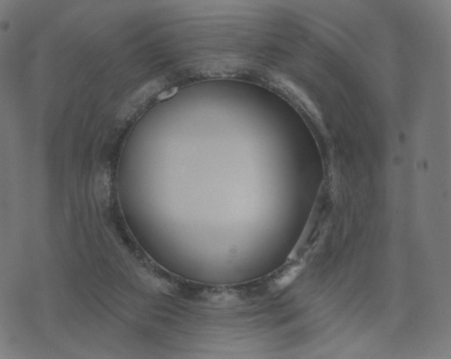 X0000070360113200606231632