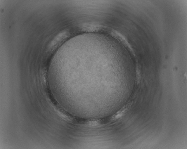 X0000070360114200606231632