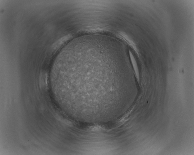 X0000070360115200606231632