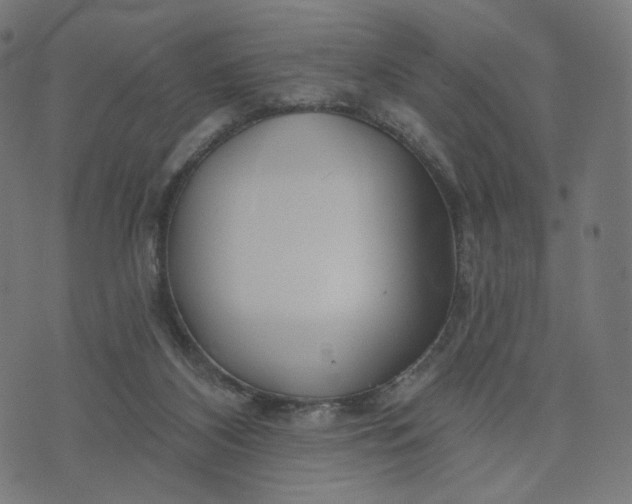 X0000070360116200606231632