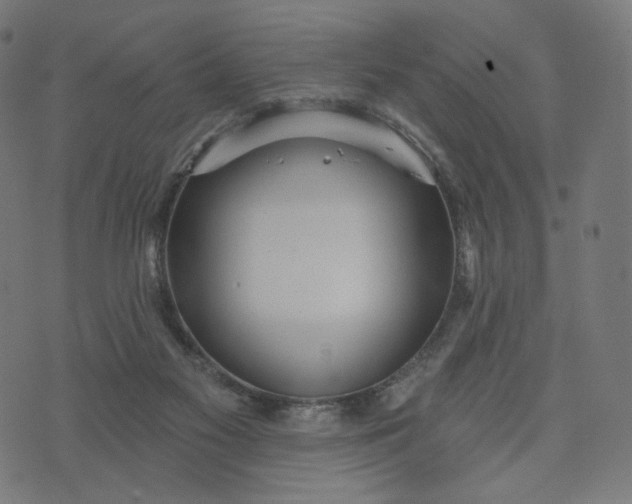 X0000070360117200606231632