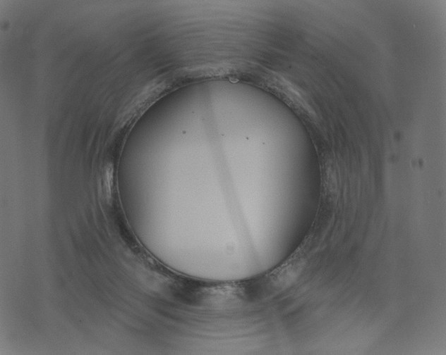 X0000070360118200606231632