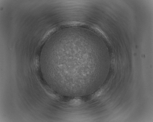 X0000070360119200606231632