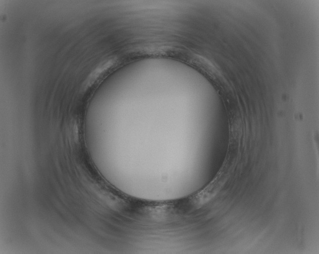 X0000070360120200606231632